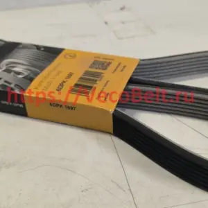 6 dpk 1697 conti-v multirib dual