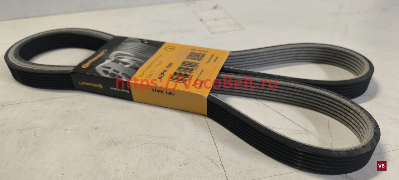 6 dpk 1697 conti-v multirib dual