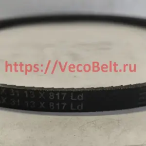 AX31 13 817 ld conti-v fo