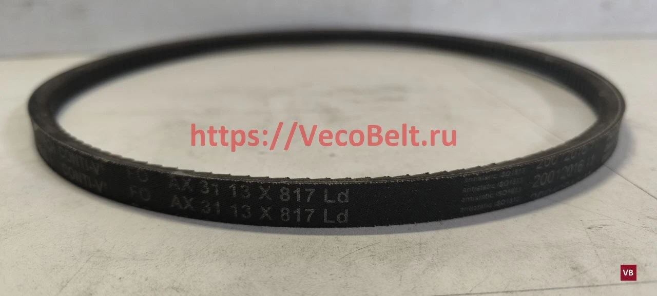 AX31 13 817 ld conti-v fo