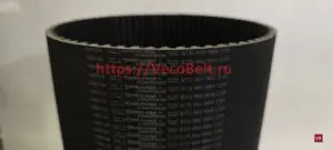 std 560 s8m cxp contitech