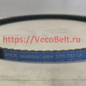 xpa 782 pix-muscle-xr4