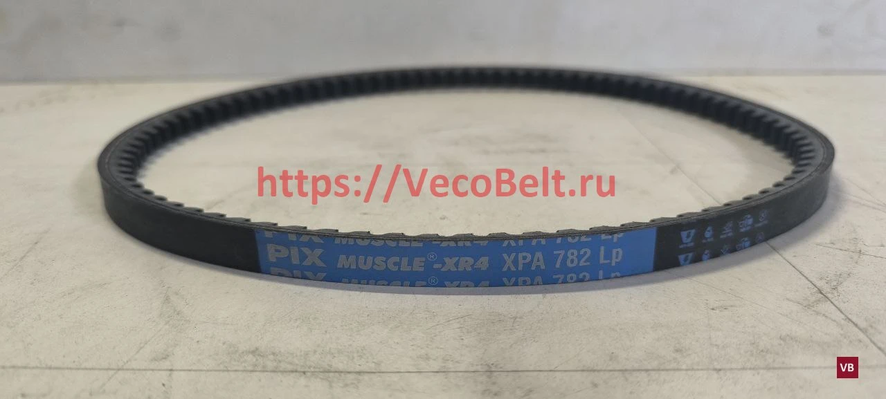 xpa 782 pix-muscle-xr4