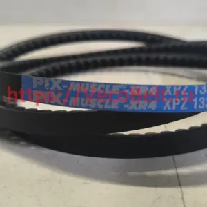 xpz 1337 pix-muscle-xr4