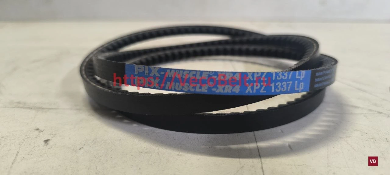 xpz 1337 pix-muscle-xr4