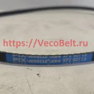 xpz 937 pix-muscle-xr4