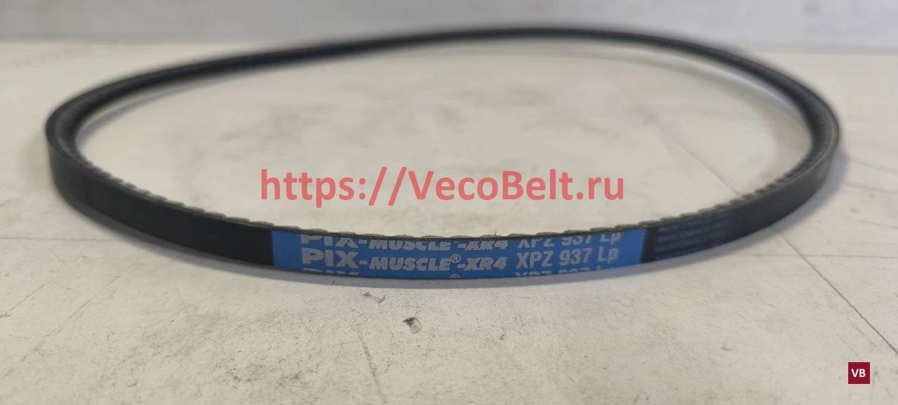 xpz 937 pix-muscle-xr4