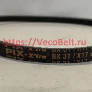 BX31 17x830lp pix-x'tra