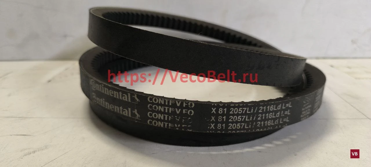 CX81 2057Li 2116Ld CONTI-V FO