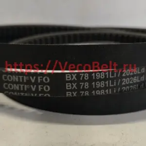 bx78 17x2026Ld conti-v fo