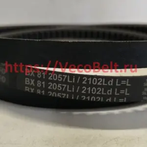 bx81 17x2102Ld conti-v fo