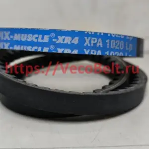 xpa 1020 pix-muscle-xr4