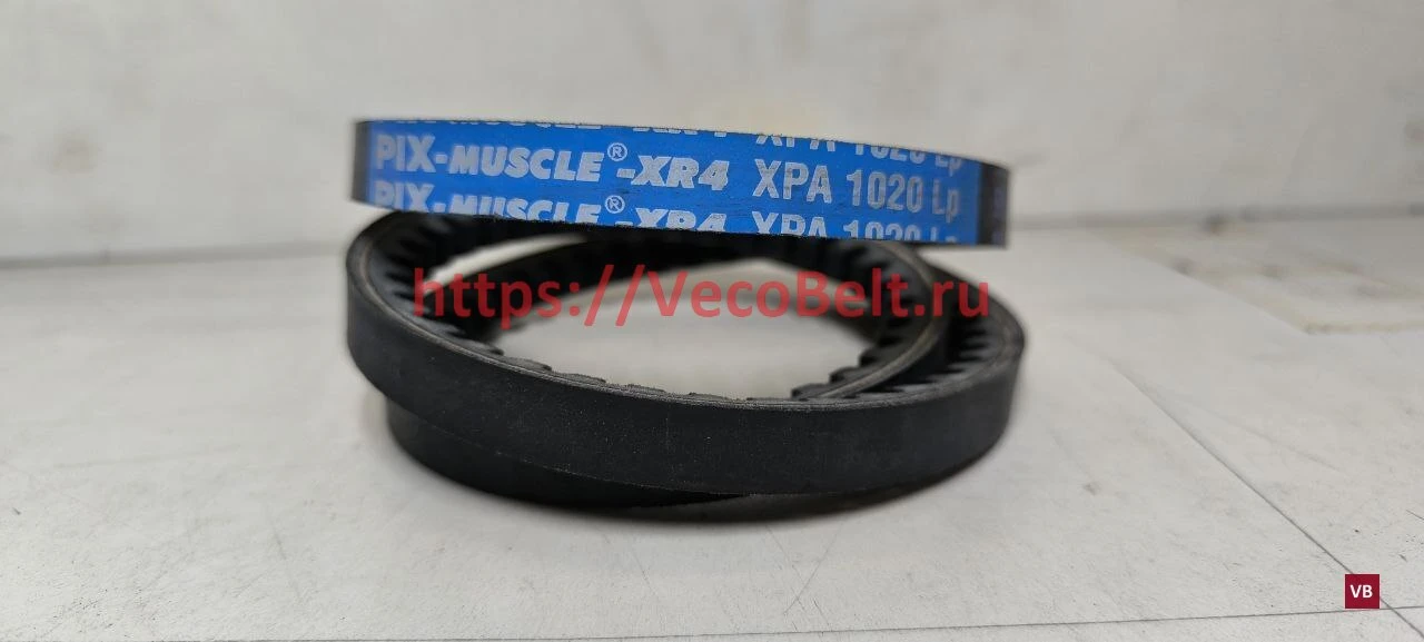 xpa 1020 pix-muscle-xr4