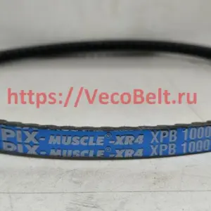 xpb 1000 pix-muscle-xr4