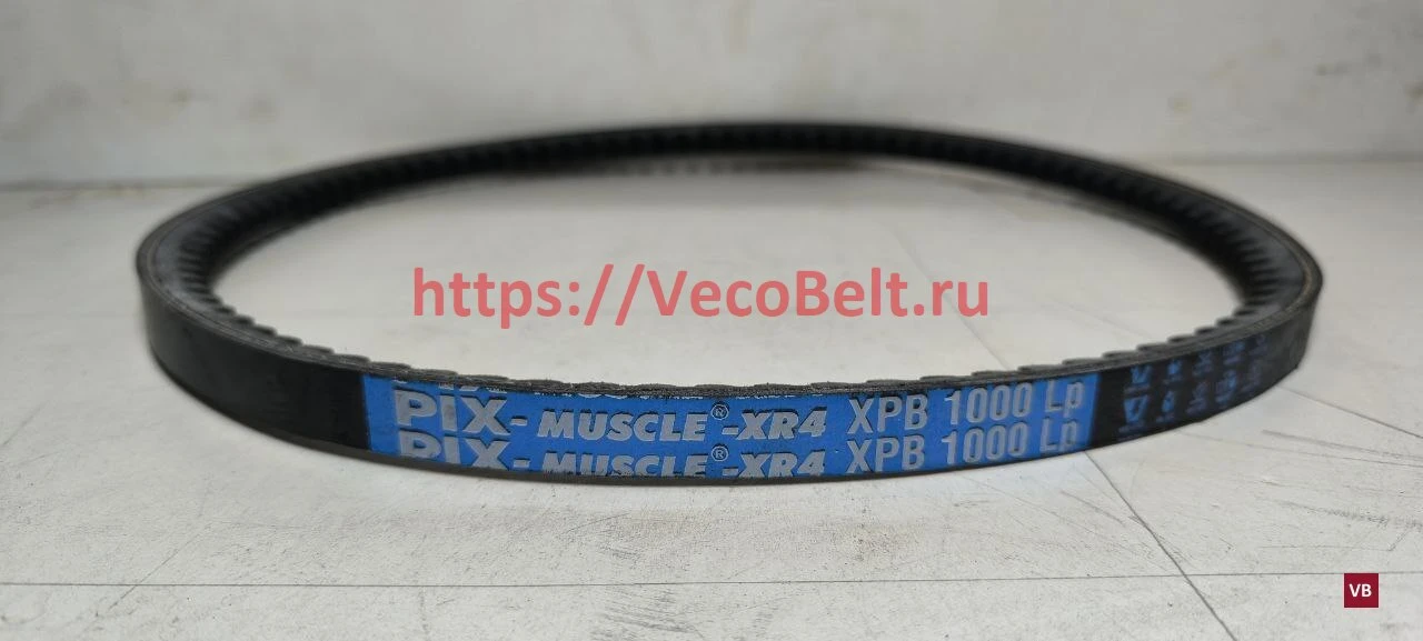 xpb 1000 pix-muscle-xr4