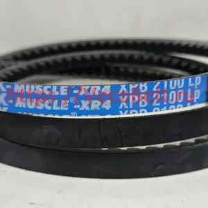 xpb 2100 pix-muscle-xr4