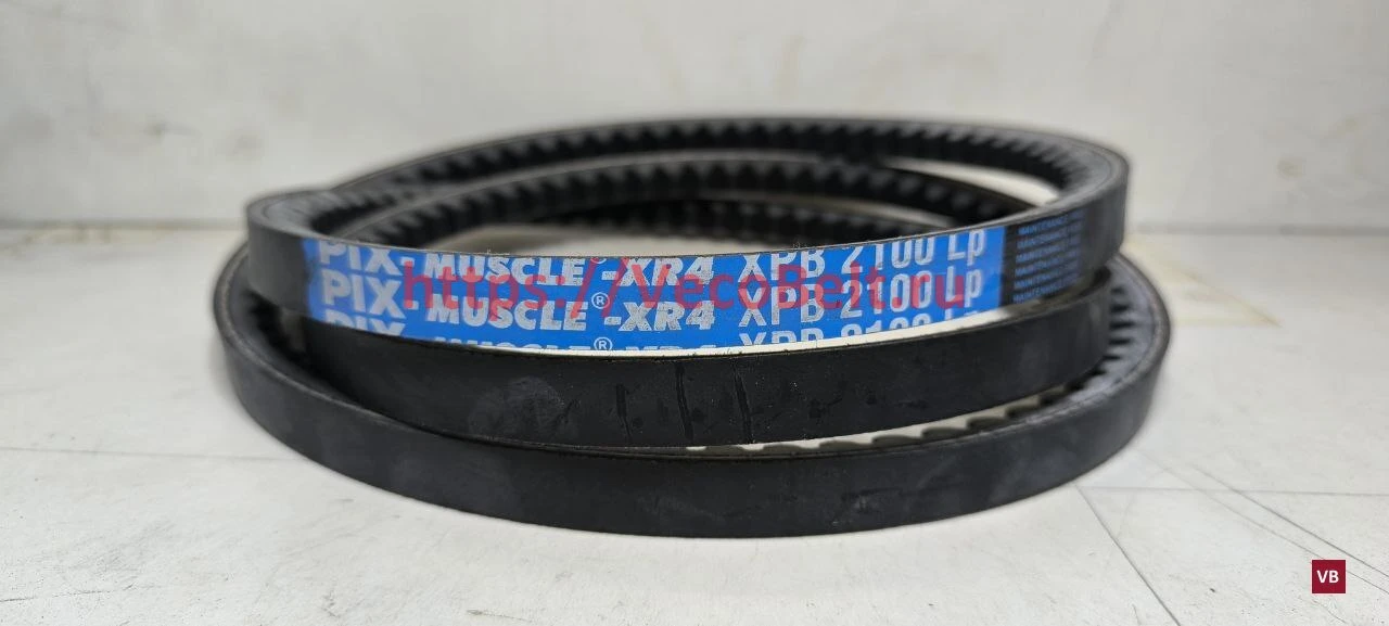 xpb 2100 pix-muscle-xr4