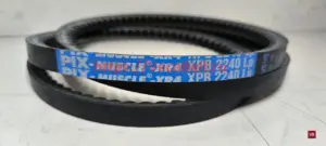 xpb 2240 pix-muscle-xr4