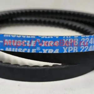 xpb 2240 pix-muscle-xr4