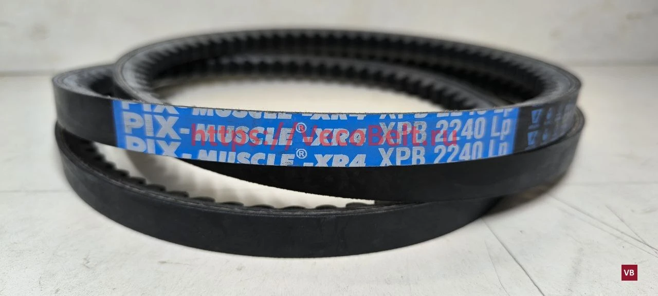 xpb 2240 pix-muscle-xr4