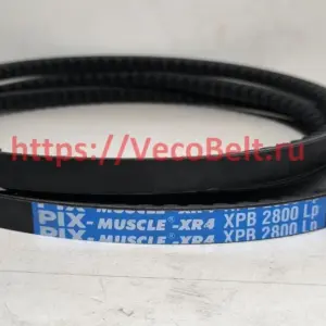 xpb 2800 pix-muscle-xr4