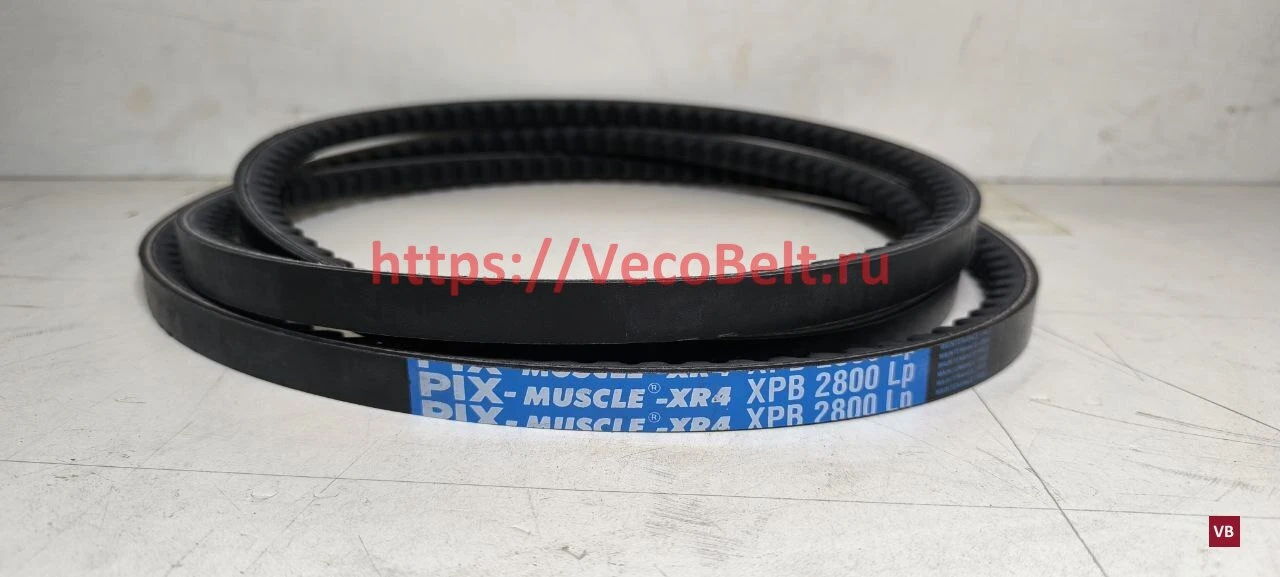 xpb 2800 pix-muscle-xr4