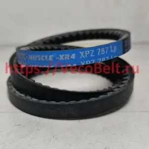 xpz 787 pix-muscle-xr4