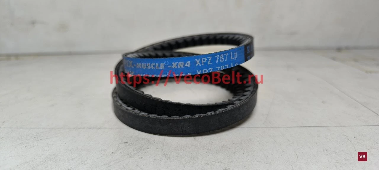 xpz 787 pix-muscle-xr4