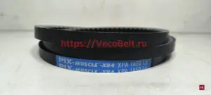 xpa 1650 pix-muscle-xr4