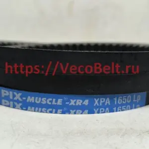 xpa 1650 pix-muscle-xr4