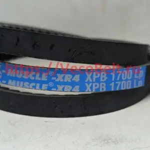 xpb 1700lp pix-muscle-xr4