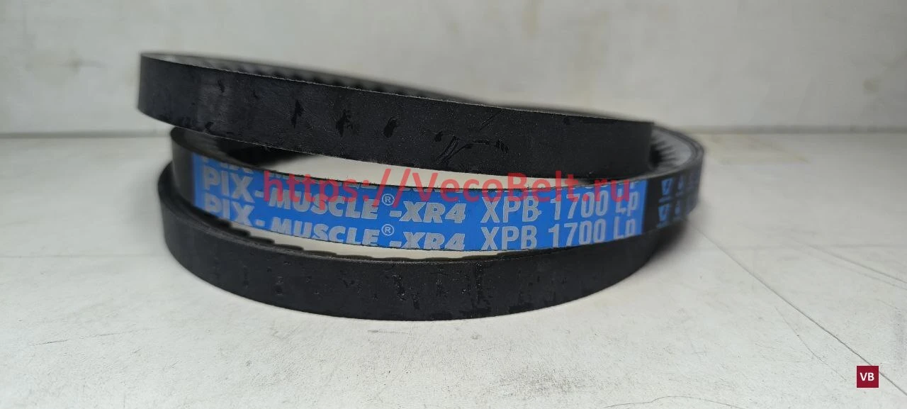 xpb 1700lp pix-muscle-xr4