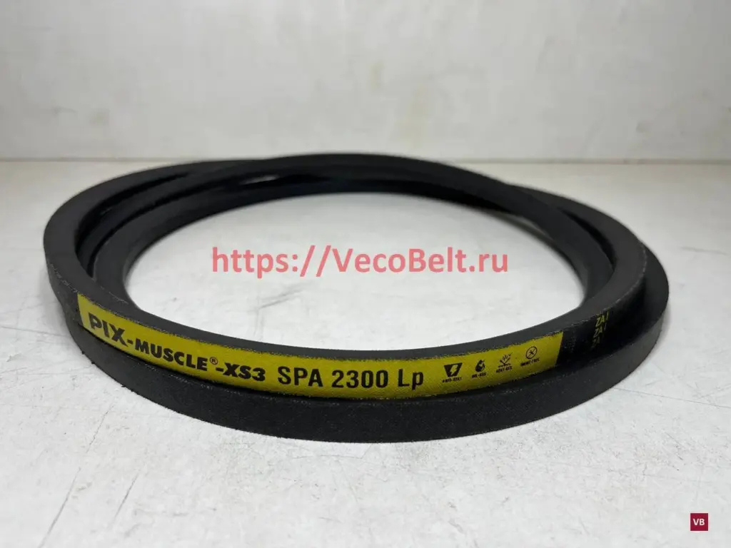 SPA 2300 PIX-MUSCLE-XS3