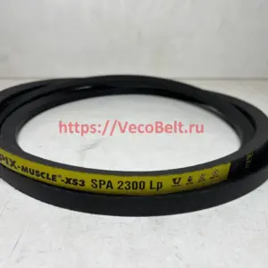 SPA 2300 PIX-MUSCLE-XS3